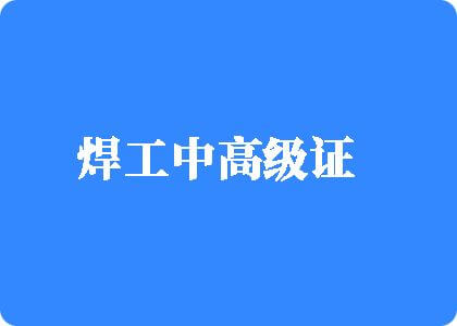 免费操女人逼焊工中高级证